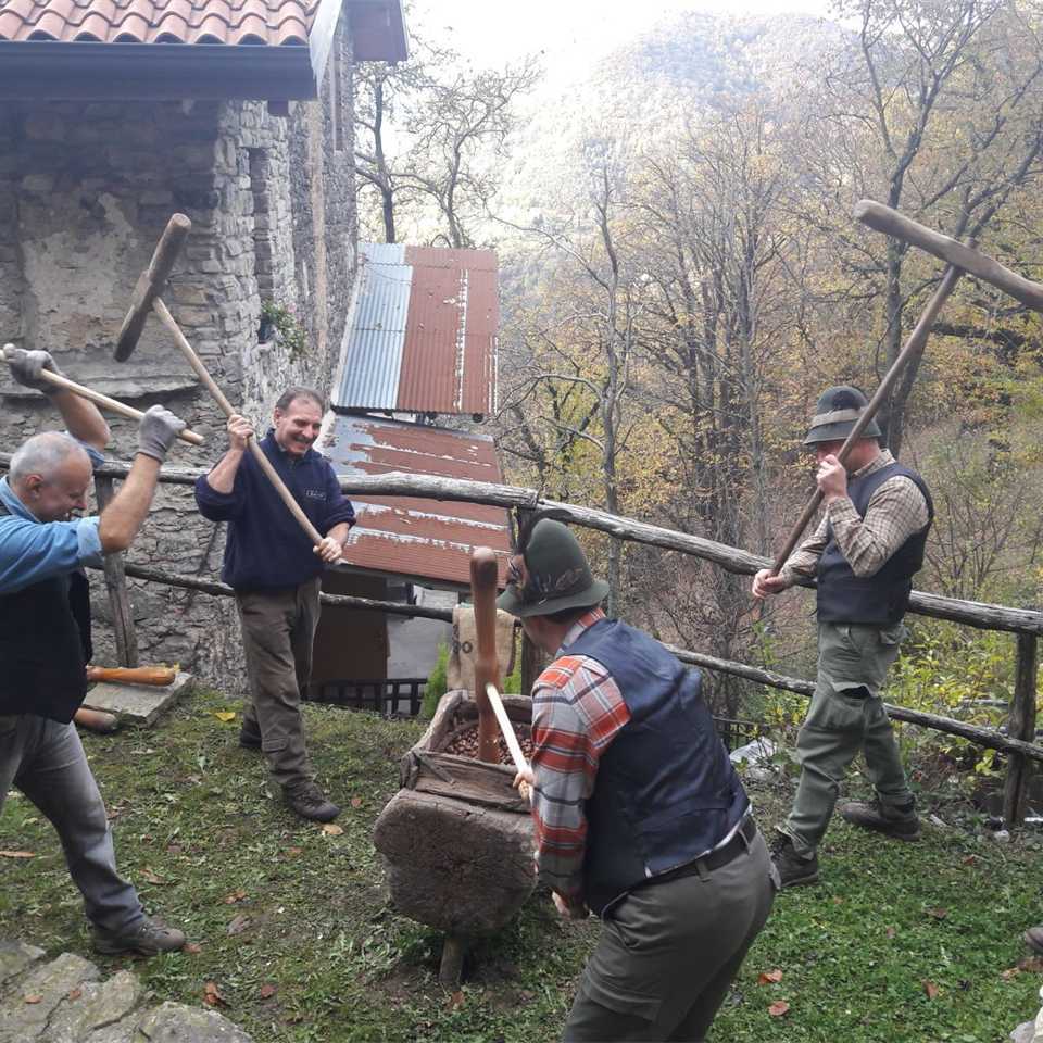 battitura delle castagne a Nesolio - un viaggio nel tempo tra i boschi della Val San Martino